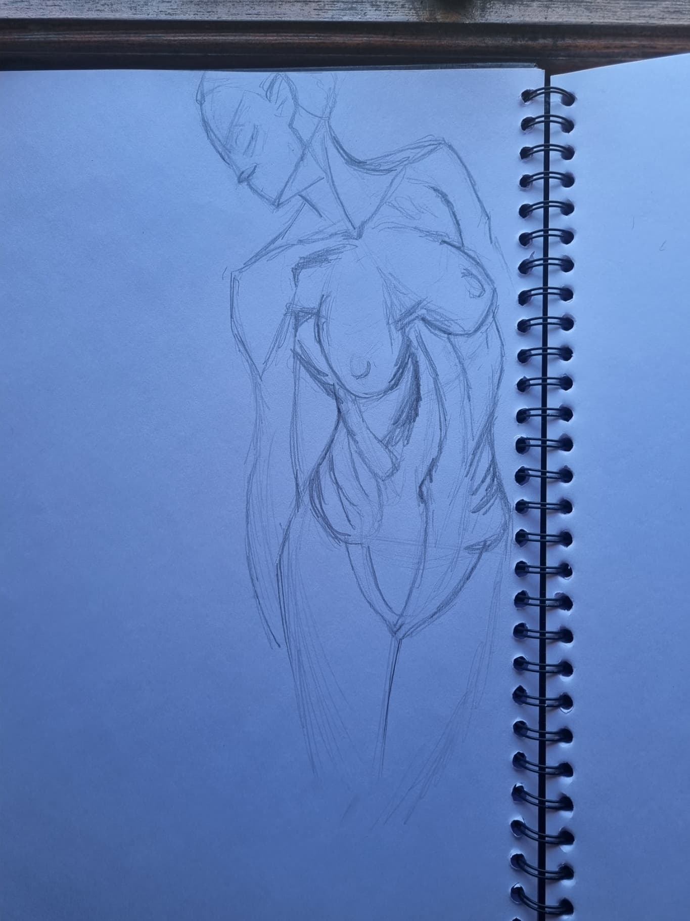 female anatomy sketches